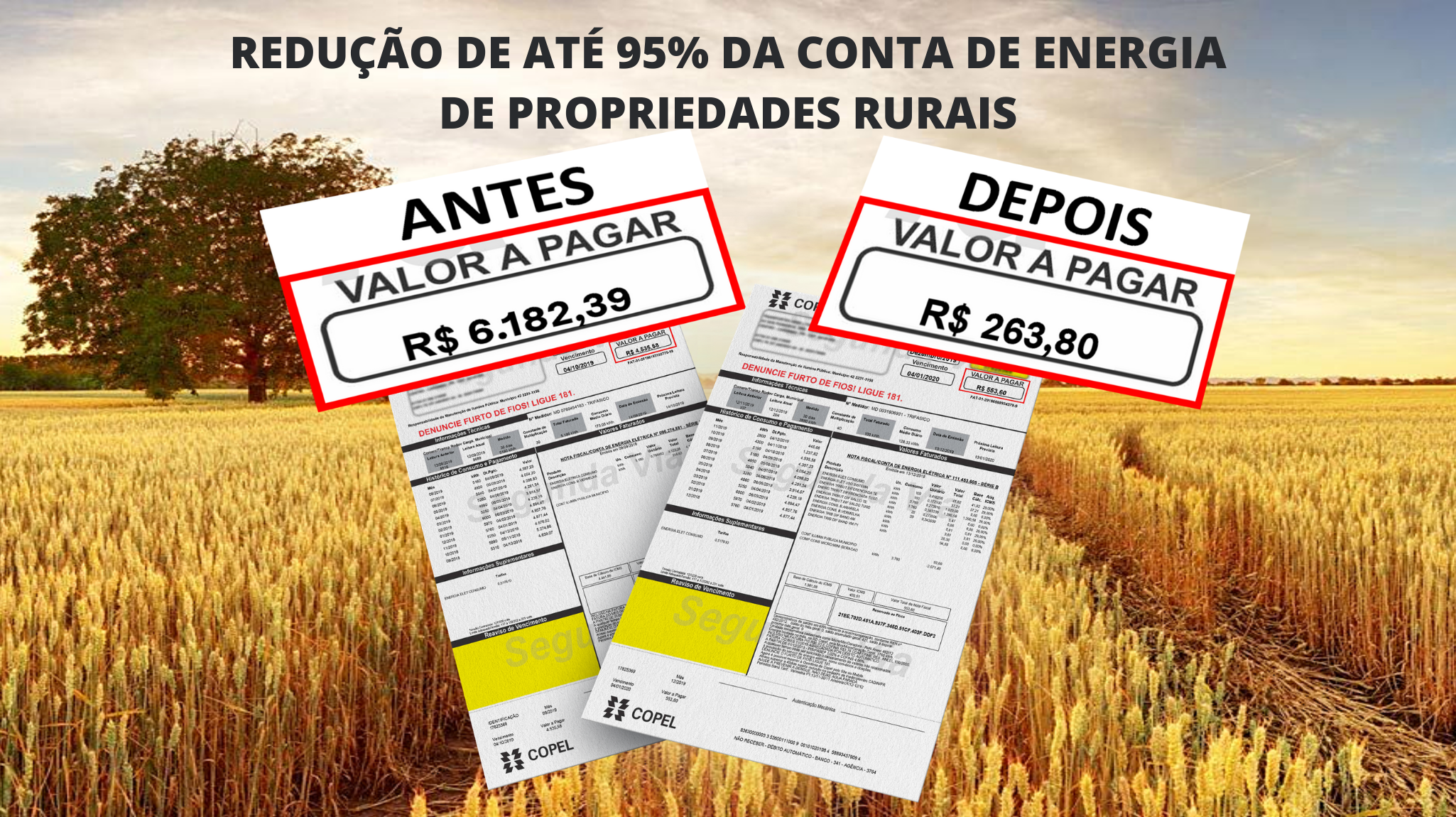 Imagem economia Imagem economia