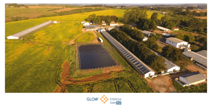 Granja de Suínos - Carambeí