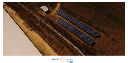 Sr Neri Costa - Palmeira